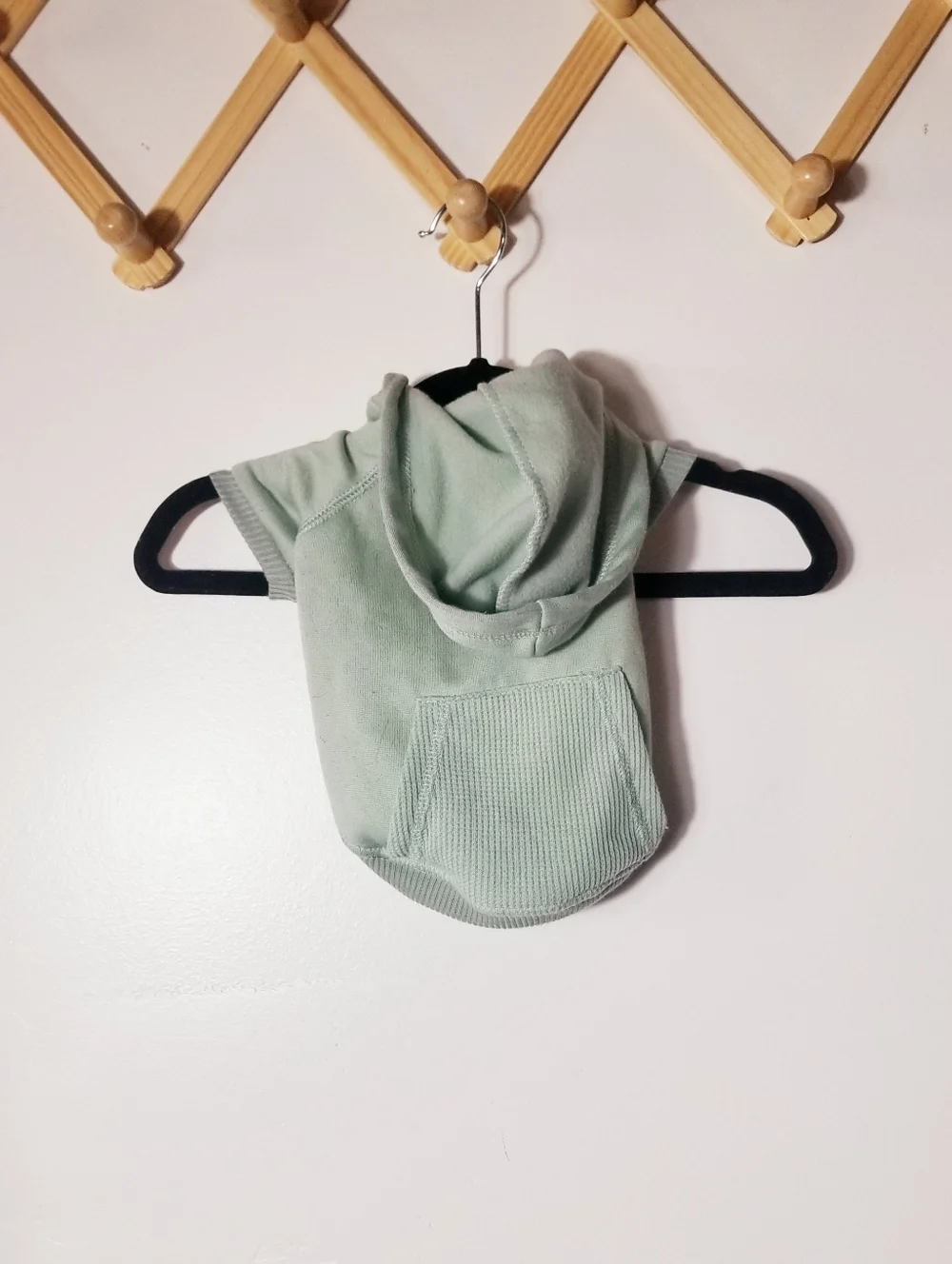 BOOTS & BARKLEY DOG GREEN HOODIE SIZE SMALL